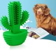 Cactus Shape Dog Toothbrush Stick - Effective Doggy Teeth Cleaning Massager - Natural Rubber - Bite Resistant Chew Toy