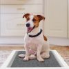 40 Pcs Dog Pee Training Pads - Super Absorbent Leak-proof Quick Dry