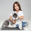 100 Pcs Dog Pee Training Pads - Super Absorbent - Leak-proof - Quick Dry