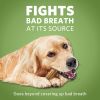 Purina DentaLife - Honey & Spirulina Flavor Chunks for Dogs - 7 ct Pouch