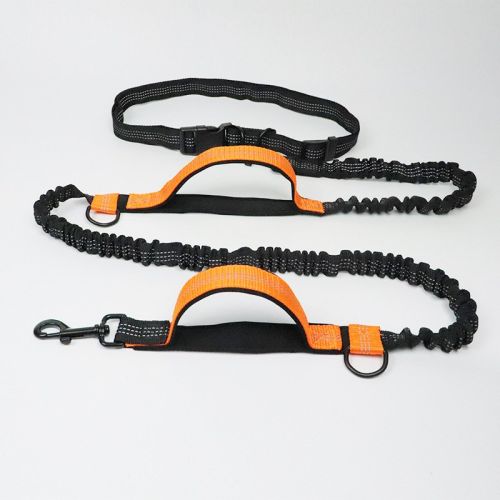 Reflective Elastic Dog Leash For Jogging