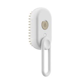 Unique Pet Steam Brush - 3 In 1 Electric Spray Brushes For Massage & Pet Grooming (Option: Porcelain White-USB)